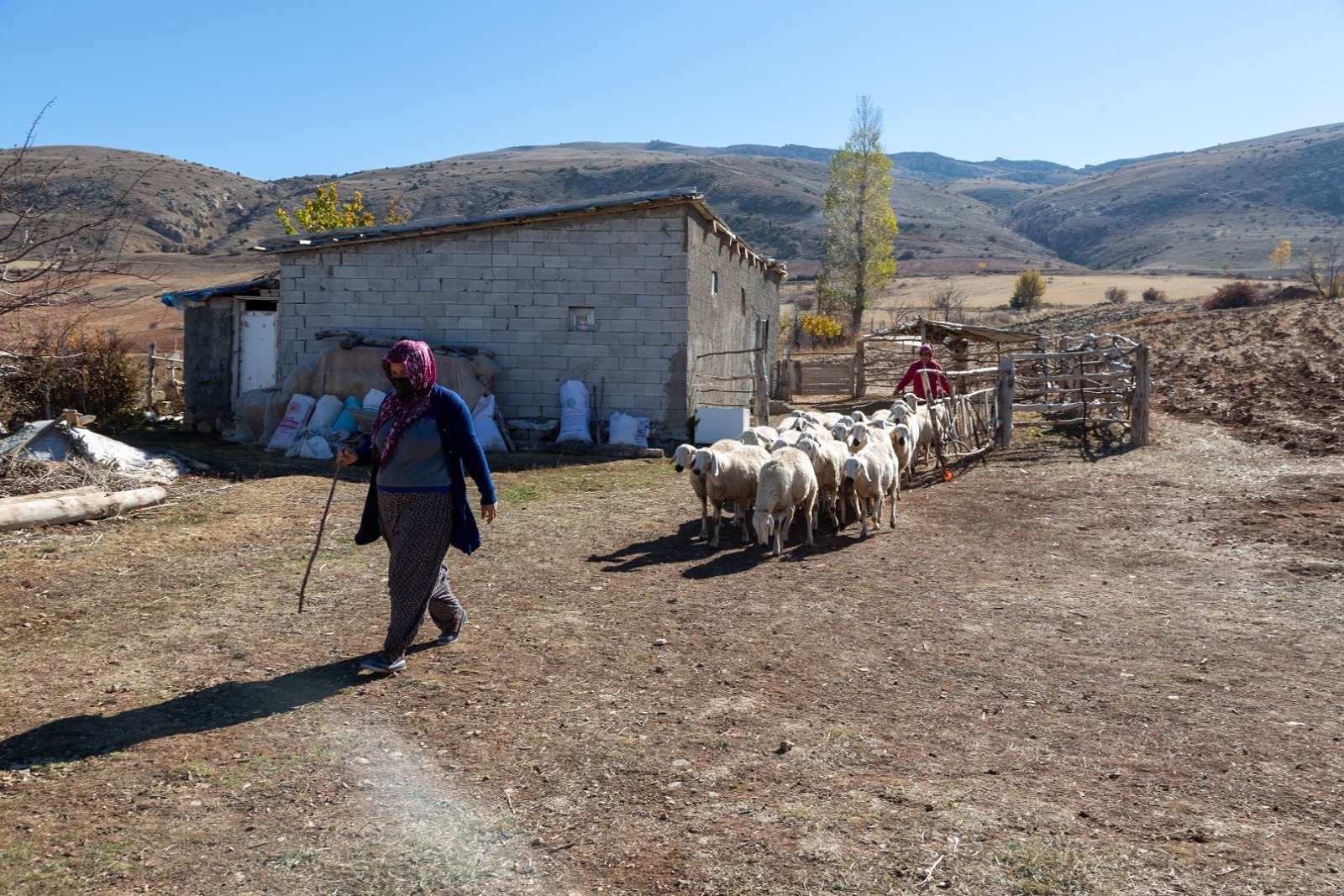 Büyükşehir’den, besicilere su faturası desteği